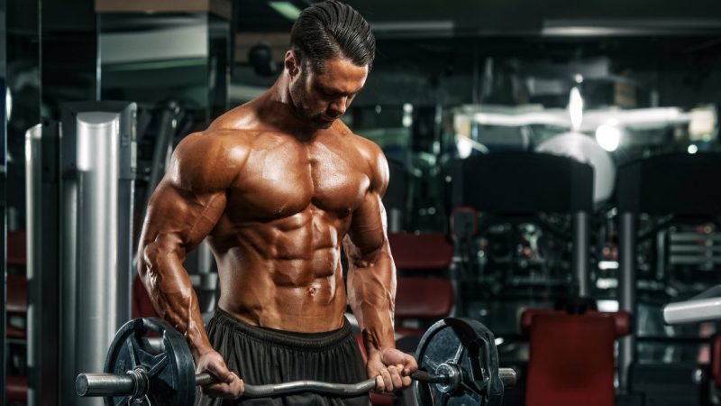 Bodybuilder Workout For Fast Muscle Gains