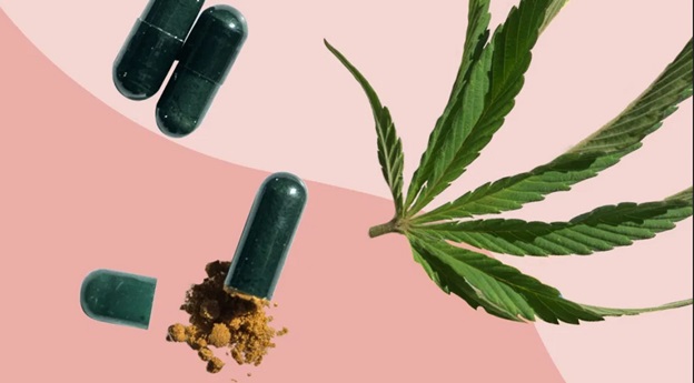 CBD Capsules Vs. Oil – Which One is Better? 
