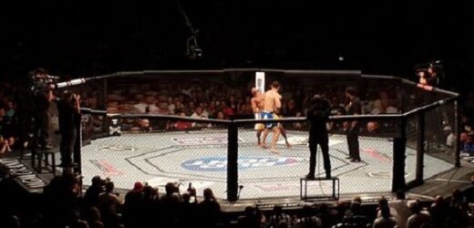  MMA: The Ultimate Fighting Sport – Terminology Explained