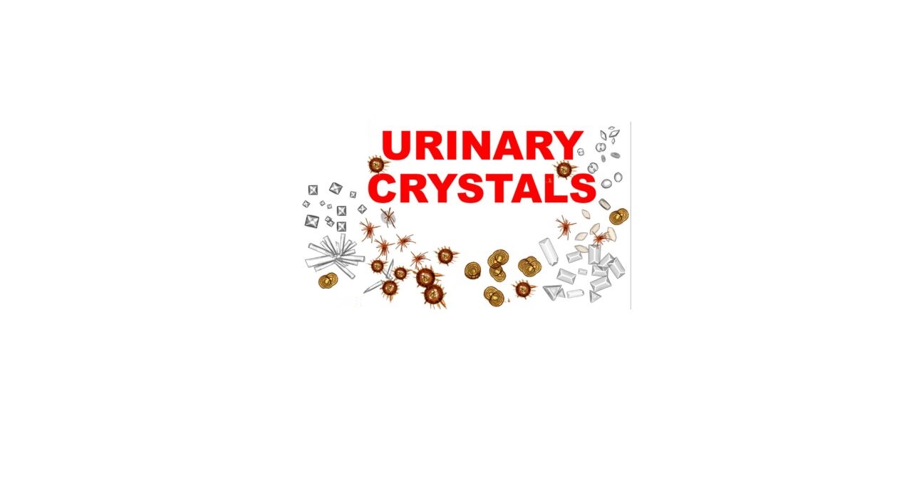 Crystals In Urine: What Do They Mean?