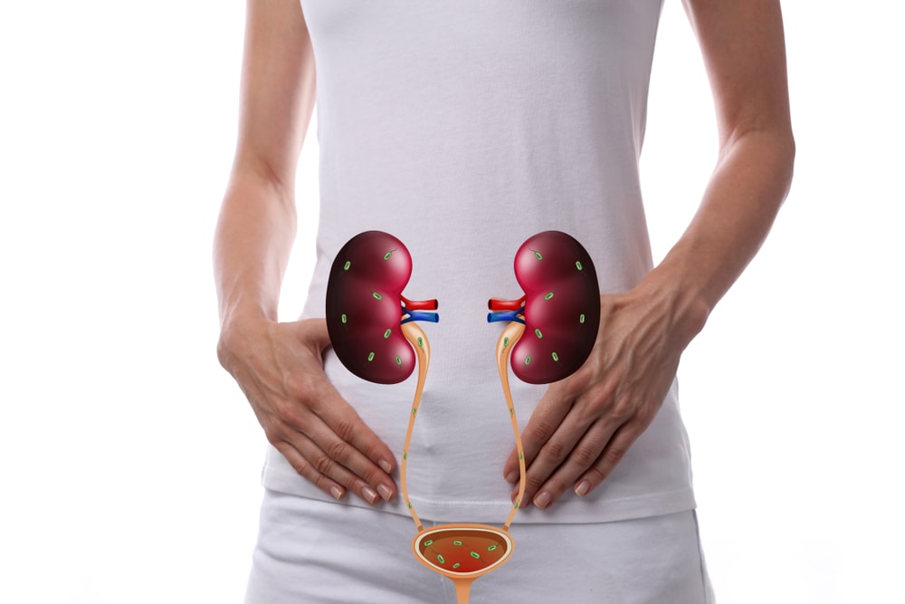 Exploring the bladder problems and their treatments