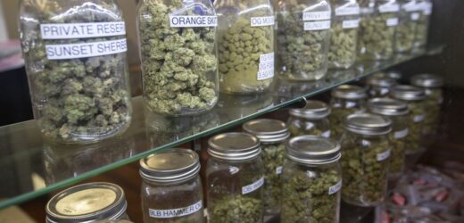 3 must have things to be in Cannabis Dispensaries to succeed