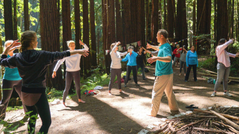 Qi Gong Vitality: Certified Courses for Holistic Well-being”